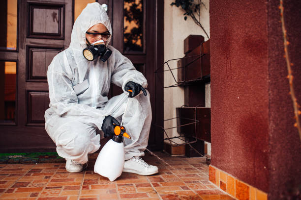 Reliable Wasp Removal contractor in Mena, AR by Show Me Pest Control
