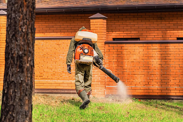 Top rated local Wasp Removal specialists in Mena, AR